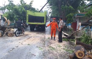Pohon tumbang halangi jalan, Polsek Kotamobagu gerak cepat bantu evakuasi