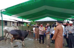 Polres Kotamobagu Kurban 5 Ekor Sapi di Hari Idul Adha