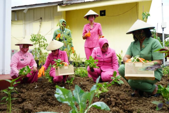 Perkuat ketahanan pangan, Bhayangkari Sulut & Persit KCK 13 Merdeka panen sayur & ikan air tawar di pekarangan pangan lestari Bhayangkari Kotamobagu.