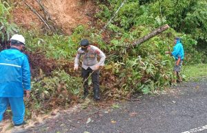 Gerak Cepat Polsek Lolayan Datangi Tempat Kejadian Tanah Longsor dan Pohon Tumbang