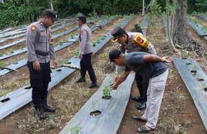 Inovatif! Polres Kotamobagu Apresiasi Sangadi Desa Bulut sebagai Pilot Project Ketahanan Pangan