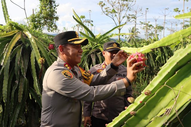 WhatsApp Image 2025-02-22 at 14.47.12