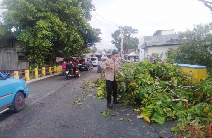Polres dan Pemkot Kotamobagu Sigap Evakuasi Pohon Tumbang, Warga Dihimbau Waspada Angin Kencang