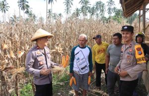 Polres Kotamobagu Gelar Panen Raya Jagung di Lahan Ketahanan Pangan Perkebunan Boyaya