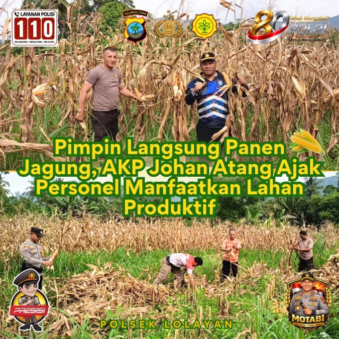 Pimpin Langsung Panen Jagung, AKP Johan Atang Ajak Personel Manfaatkan Lahan Produktif