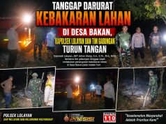 Tanggap Darurat Kebakaran Lahan di Desa Bakan, Kapolsek Lolayan dan Tim Gabungan Turun Tangan