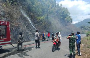 Gerak Cepat Polsek Lolayan Bersama TNI,Damkar dan Masyarakat Tanggulangi Kebakaran Lahan di Perkebunan Tumuyu
