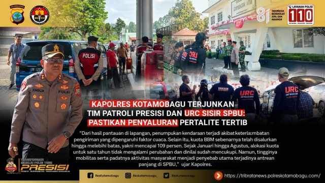 foto_300kb